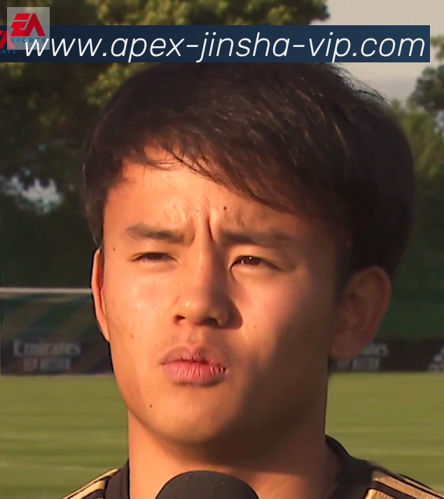 维尼修斯